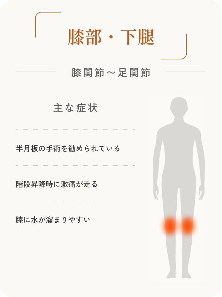 膝部・下腿